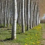 Bed & Breakfast Casa Del Bosco San Michele al Tagliamento