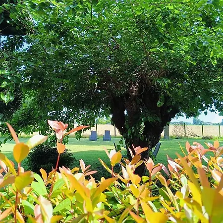 Casa Del Bosco 3*