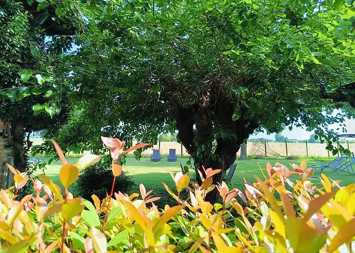 Casa Del Bosco 3*
